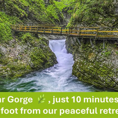 Apartment Valy - Free Bikes, Relaxing Terrace & Near Bled Buitenkant foto