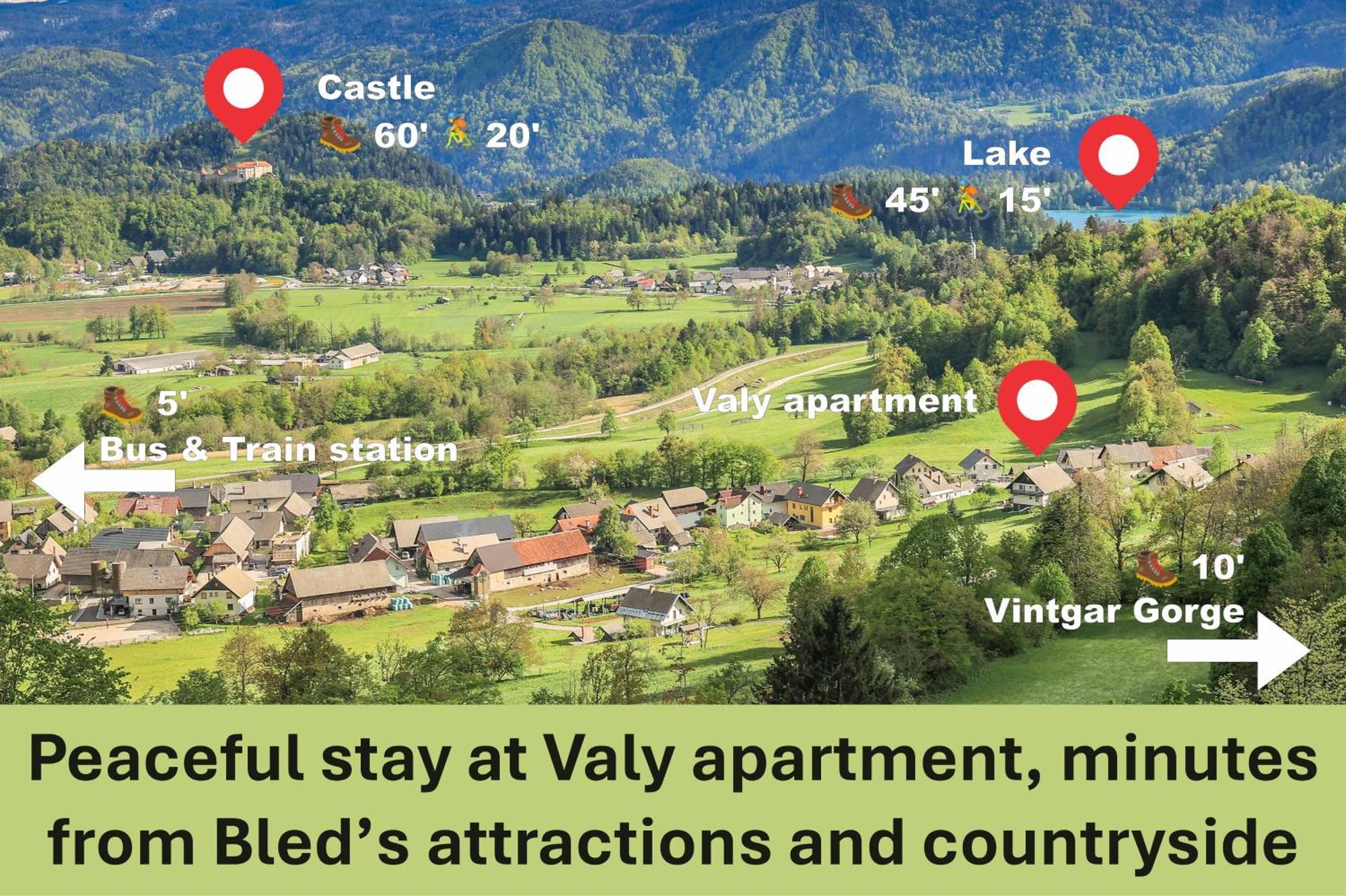 Apartment Valy - Free Bikes, Relaxing Terrace & Near Bled Buitenkant foto